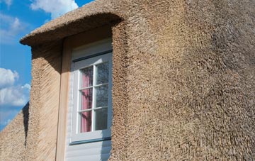 Geinas thatch roof disadvantages